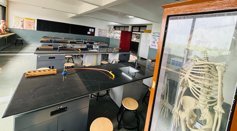 Biology Lab 3